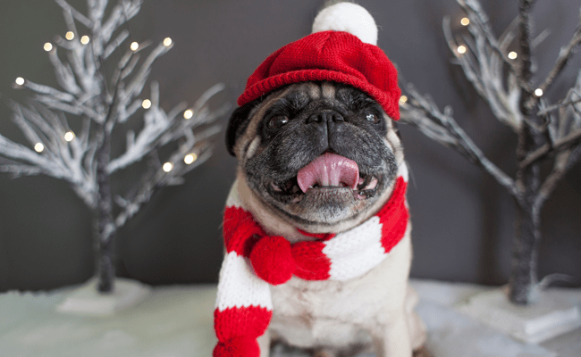 拖延癥小企業(yè)主進(jìn)行限時(shí)營(yíng)銷的幾個(gè)技巧 拖延癥小企業(yè)主進(jìn)行限時(shí)營(yíng)銷的幾個(gè)技巧